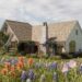 A charming storybook home surrounded by vibrant wildflowers in various colors, set against a backdrop of expansive country scenery in Houston. The house features a sloped roof, large windows, and lush greenery climbing the walls. Home Design, Rendering, Annilee Waterman, Dallas Texas